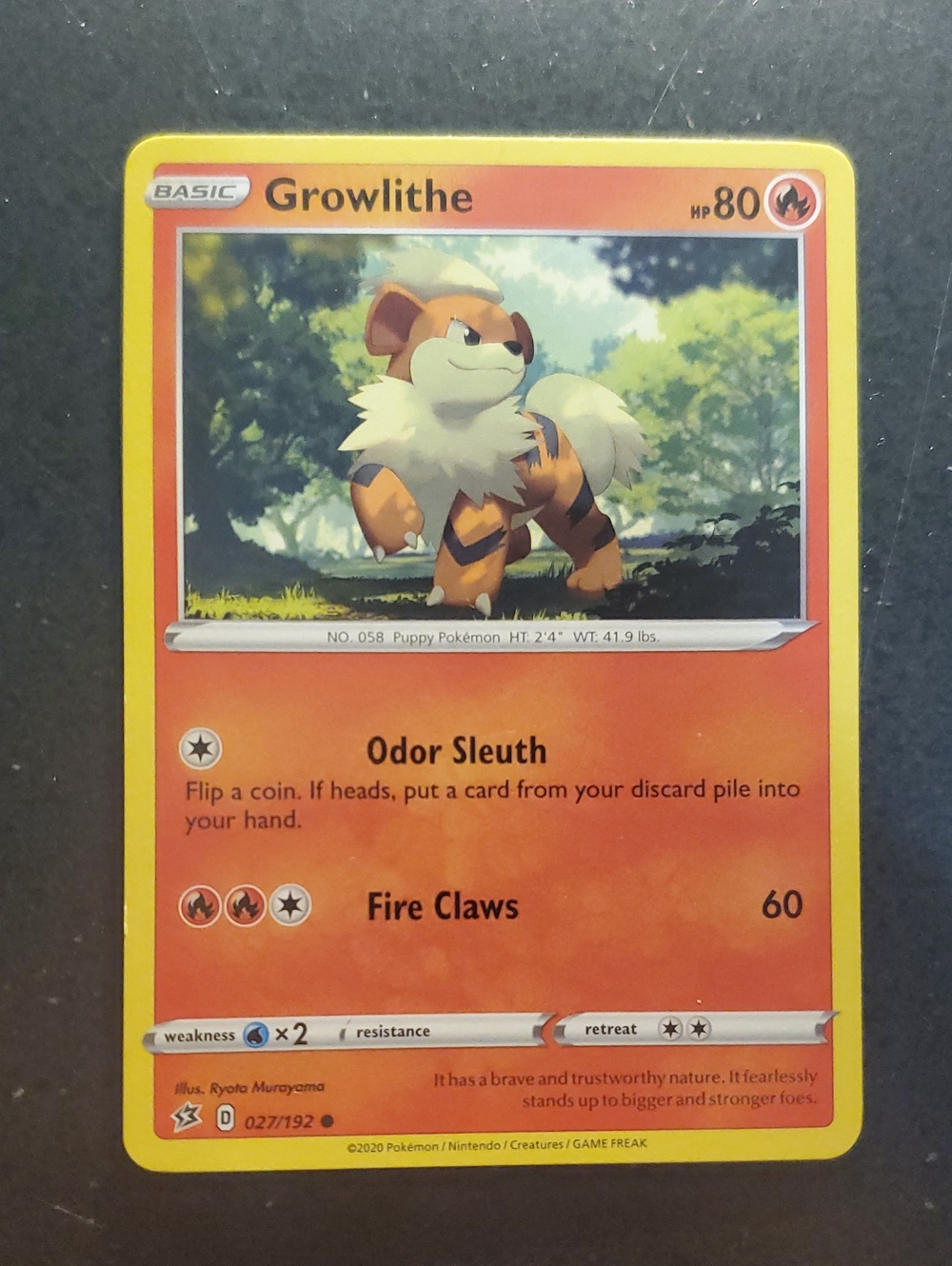 Pokemon Growlithe Red and Yellow Holo Card
